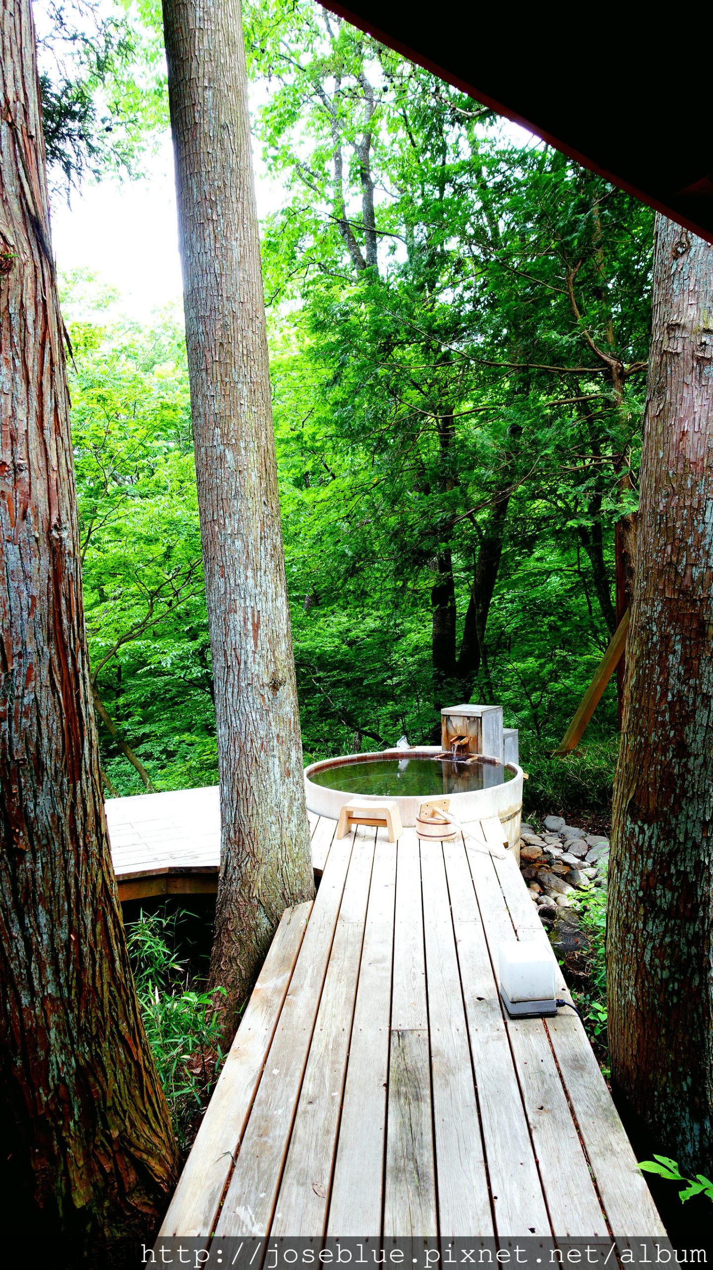 日本 東北 【 温泉 山荘 だいこんの花 】 大根之花 遠刈田 溫泉 青い月 藏王 山釐 絕景 〈上〉