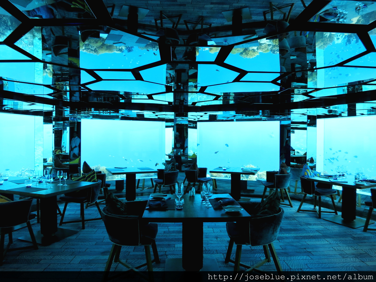馬爾地夫【 蜜月 旅行 Part4】 Anantara Kihavah 飲食 海底餐廳 The Sea 之相吃何太急